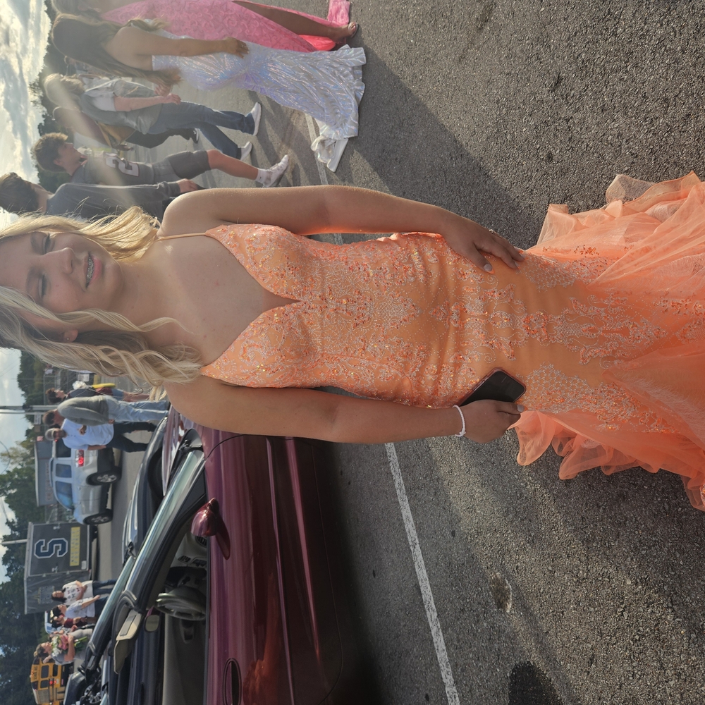 Elegant Coral/Orange Gown